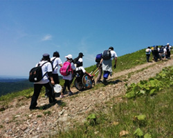 荒れた山道で