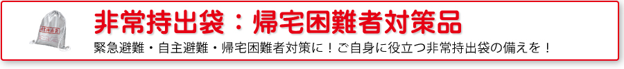 非常持出袋：持出袋単品