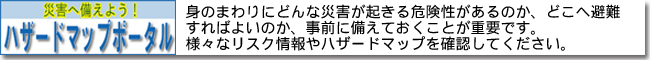 国土交通省：ハザードマップポータルサイト